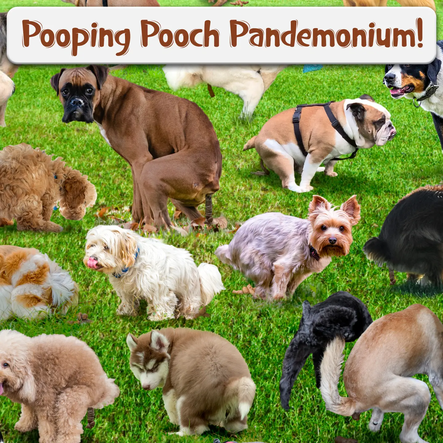 1000 Piece Pooping Puppies Puzzle - Image 2