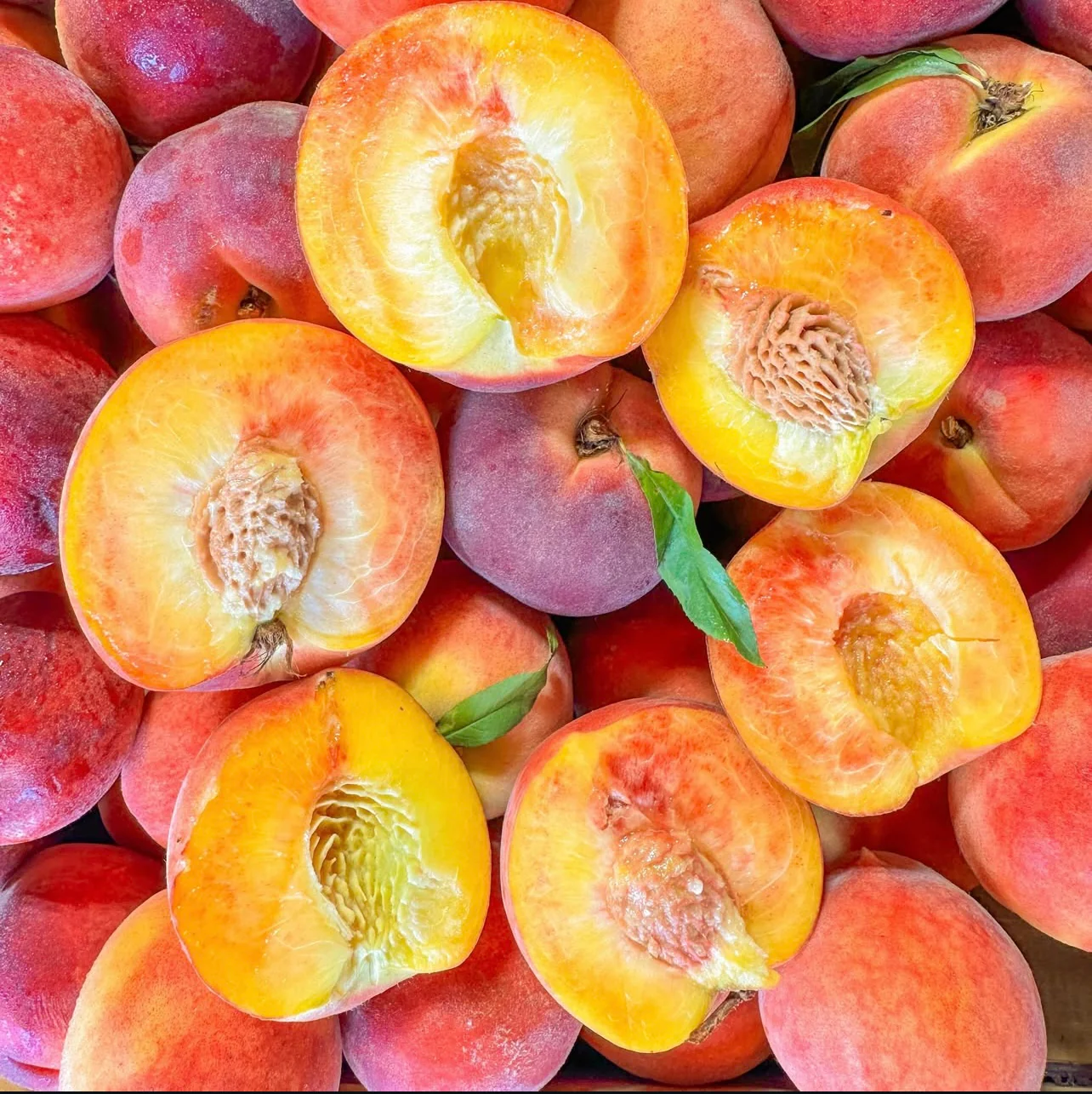12 Count Peaches-Pre Order (While Supplies Last ) - Image 3