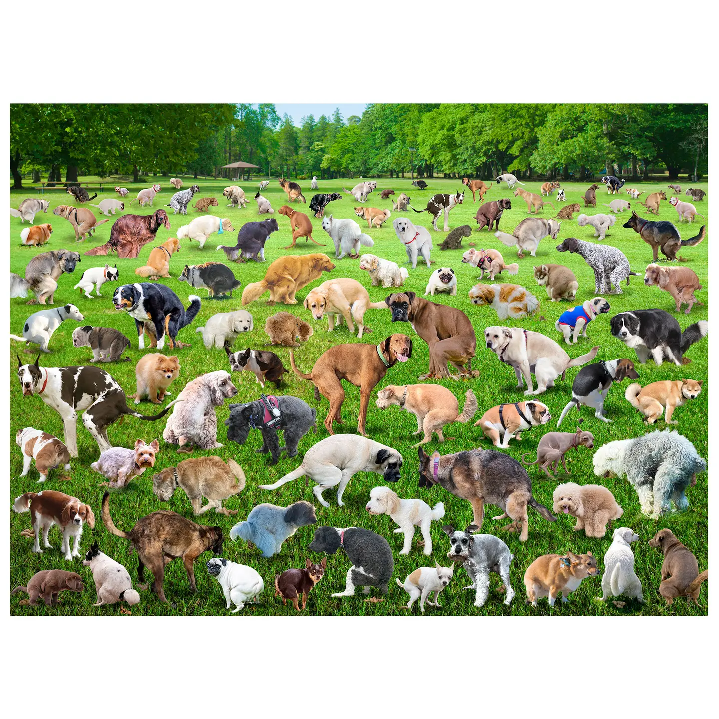 500 Piece Pooping Puppies Puzzle - Image 2