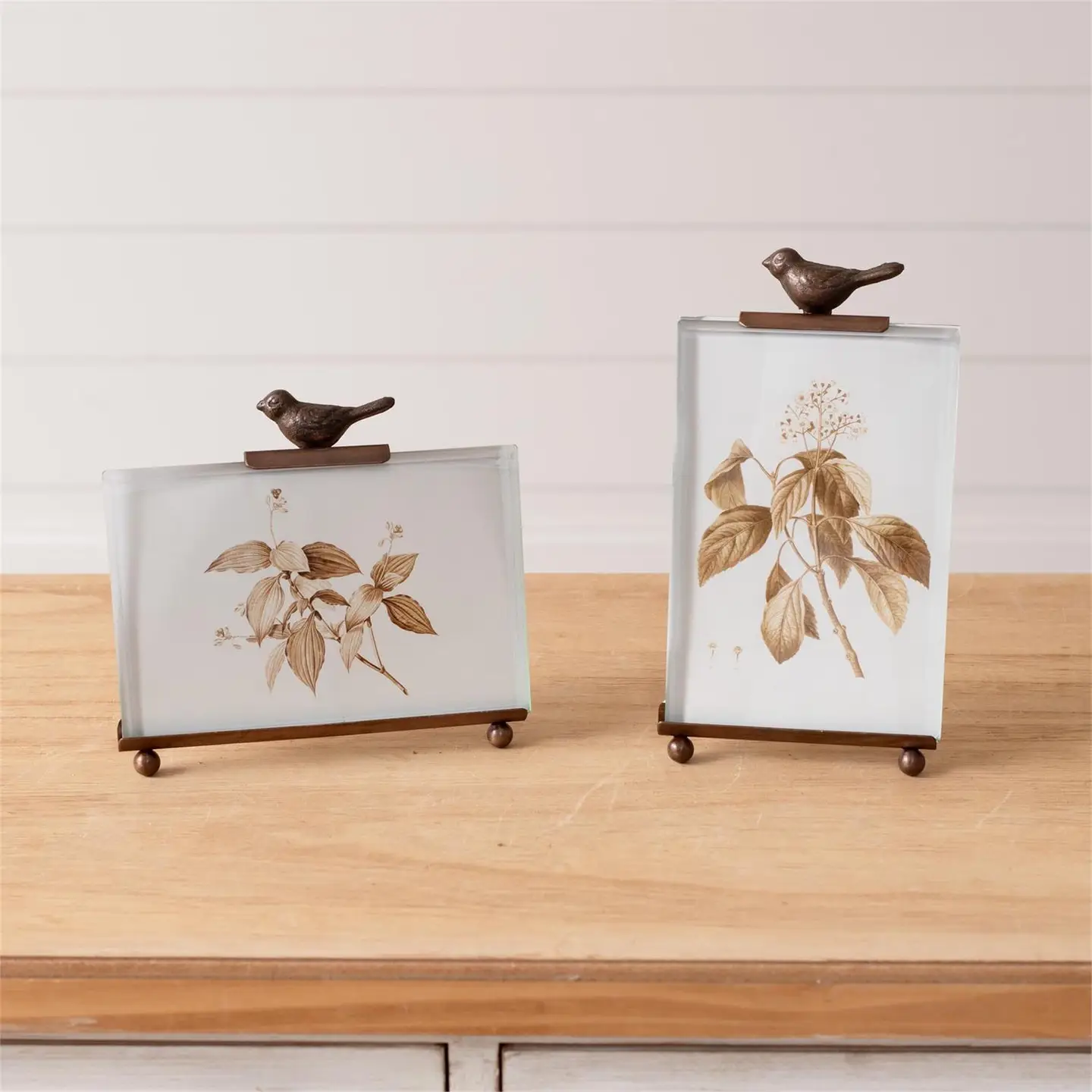 Botanical Bird Frame
