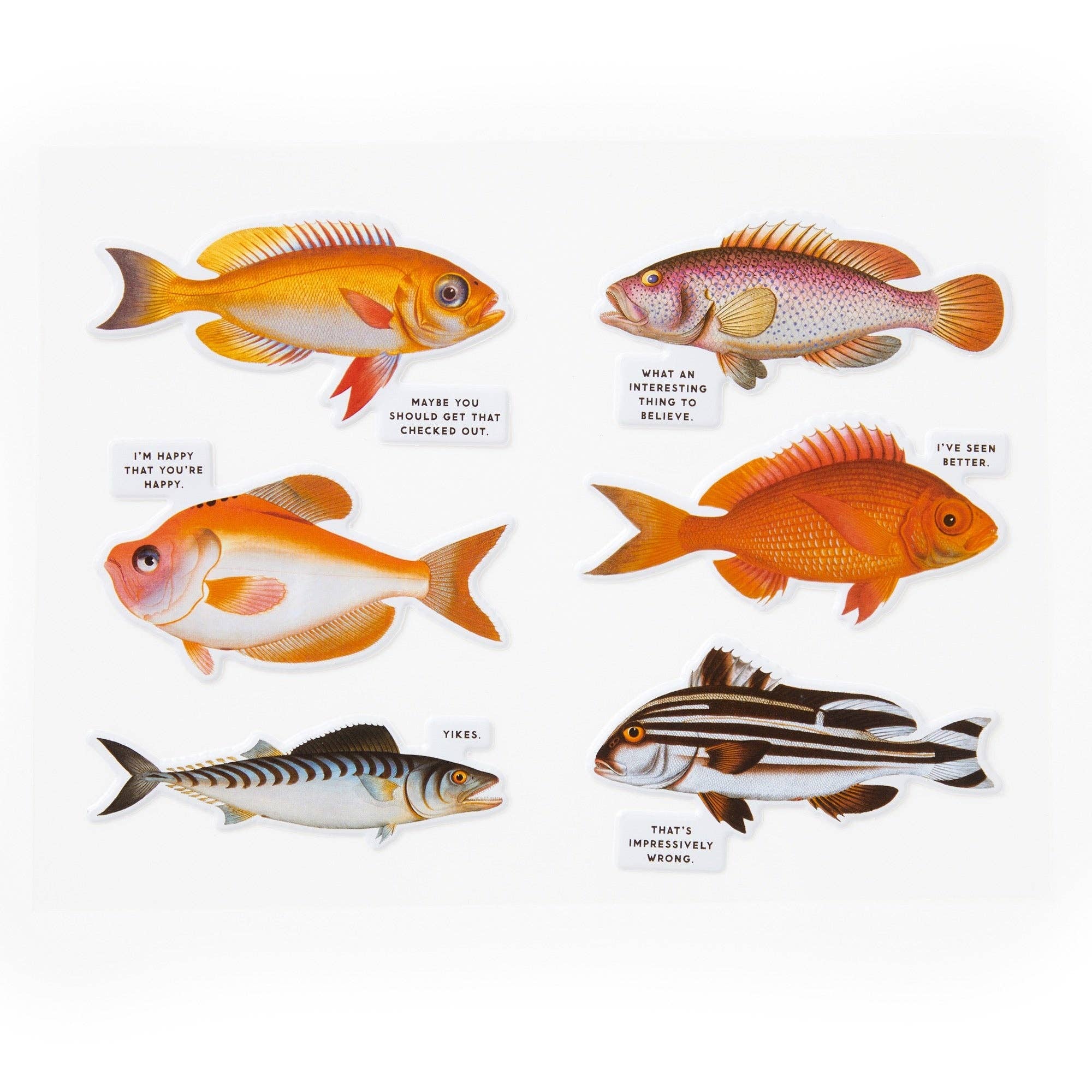 Brass Monkey Judgy Fish 1000 Piece Puzzle - Image 7
