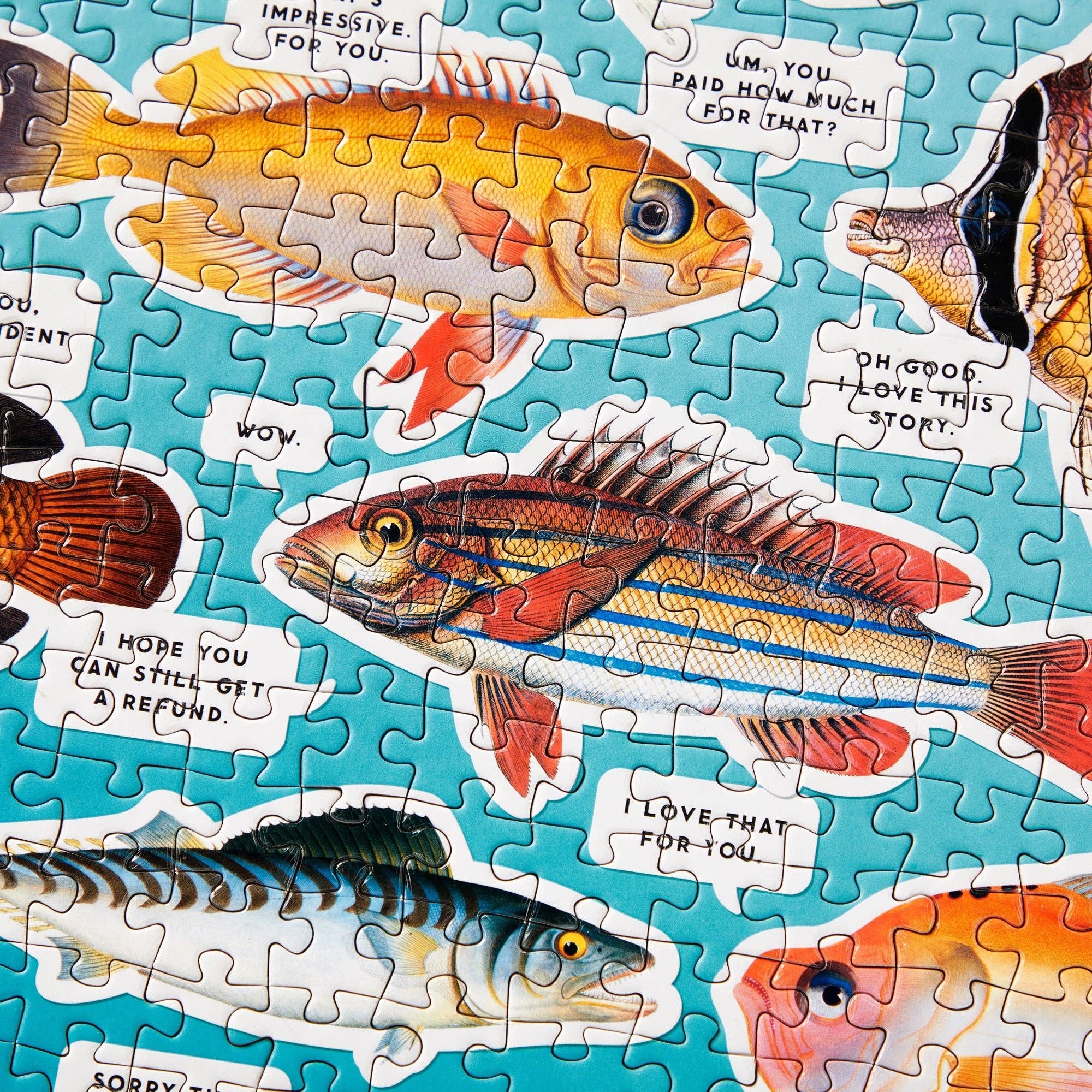 Brass Monkey Judgy Fish 1000 Piece Puzzle - Image 9