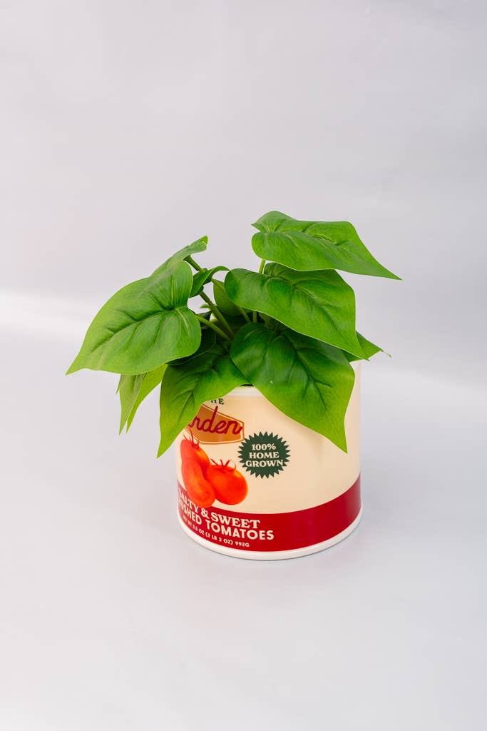 Ceramic Vase, Tomato Can - Image 2