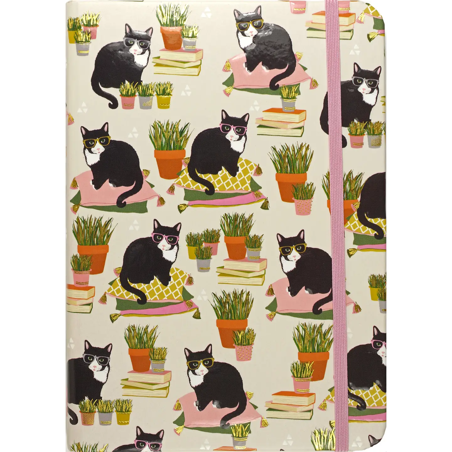 Smarty Cats Journal