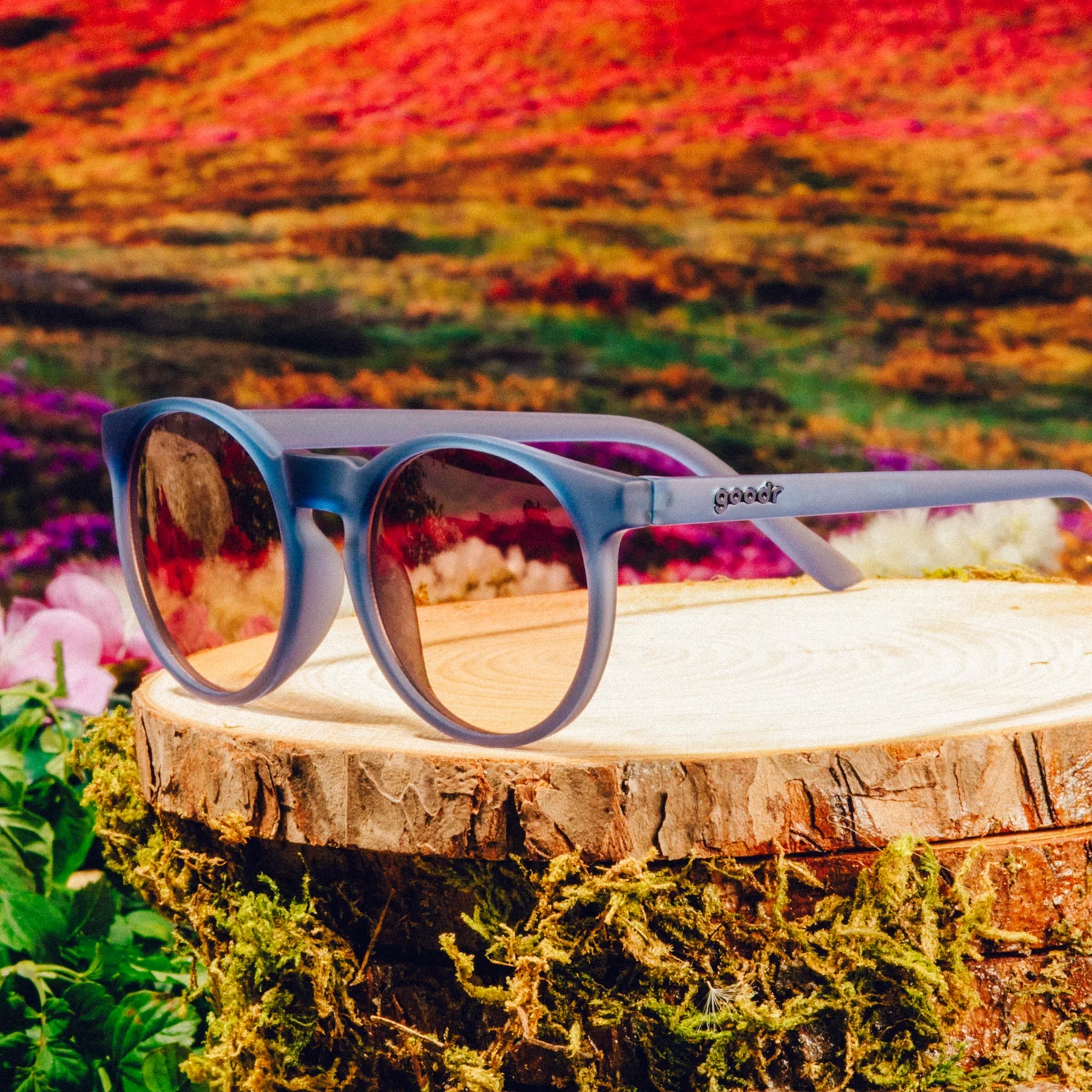 Stares Into the Abyss Sunglasses