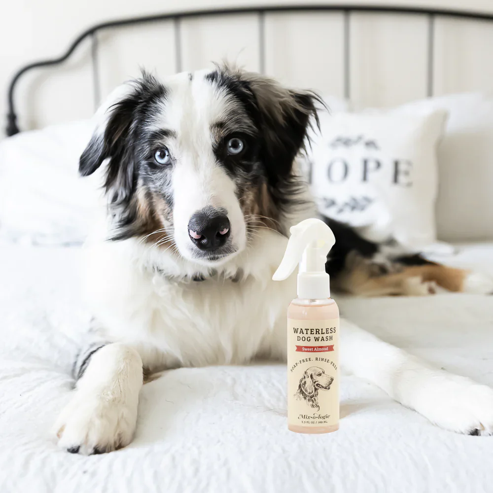 Waterless Dog Wash - Image 2