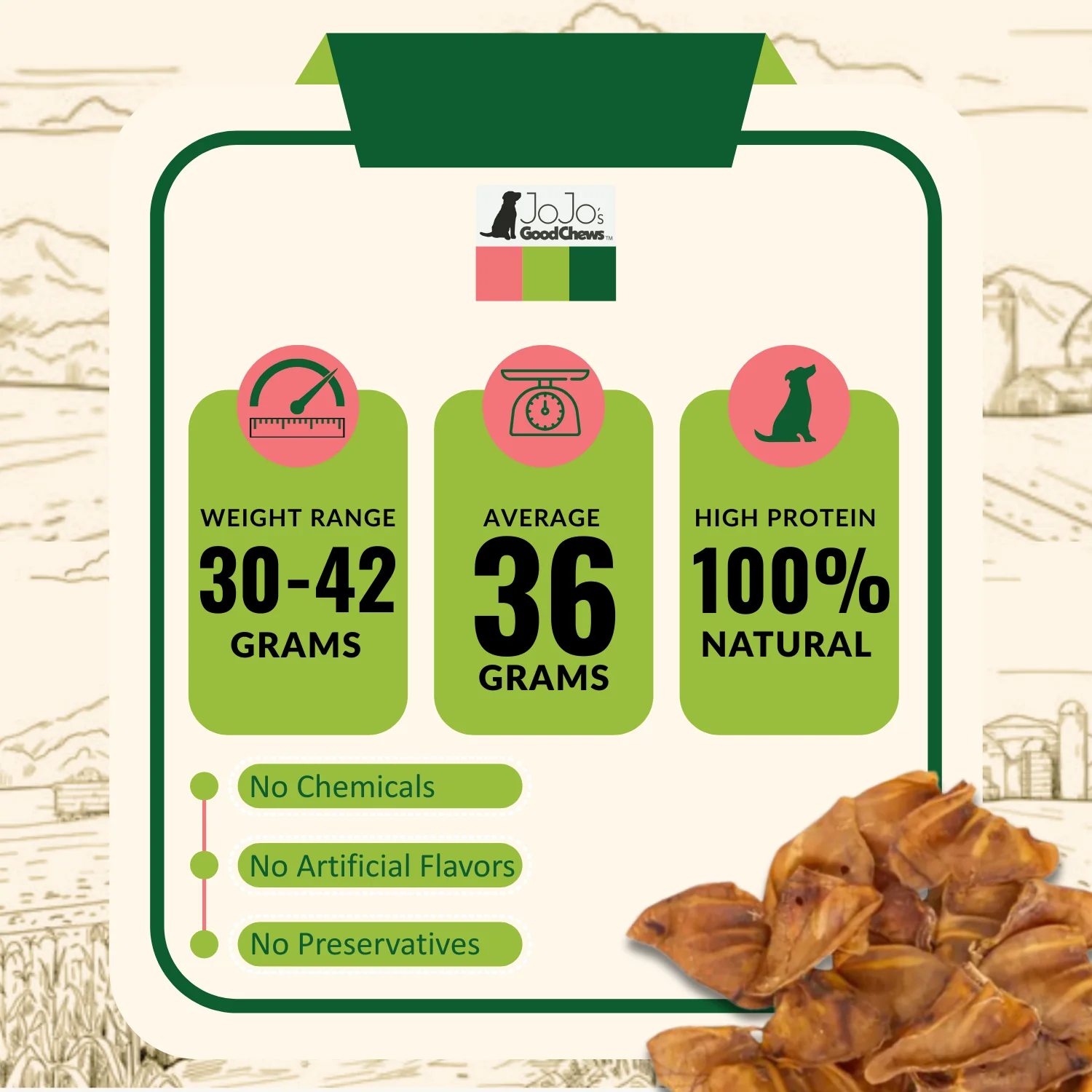 Whole Pig Ears Dog Treats - All Natural Dog Chews - Image 4